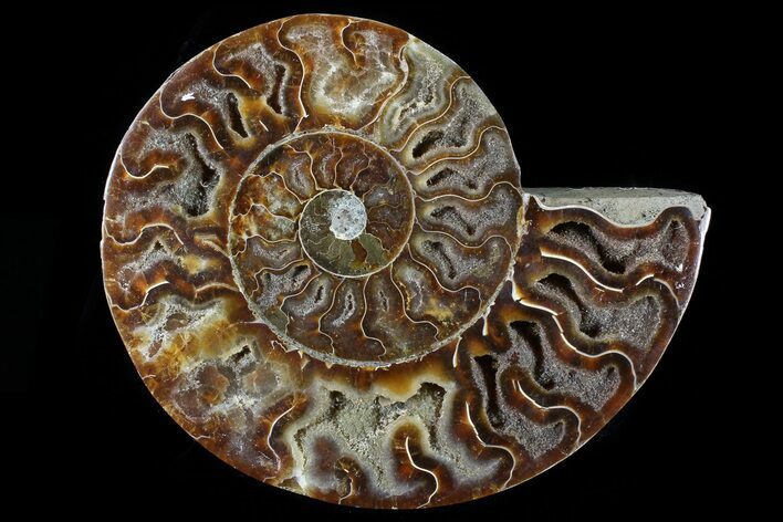 Agatized Ammonite Fossil (Half) - Madagascar #79730